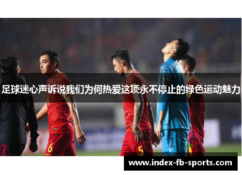 足球迷心声诉说我们为何热爱这项永不停止的绿色运动魅力