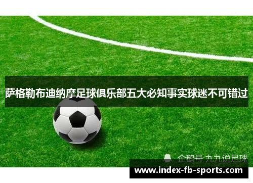 萨格勒布迪纳摩足球俱乐部五大必知事实球迷不可错过 萨格勒布迪纳摩足球俱乐部五大必知事实球迷不可错过
