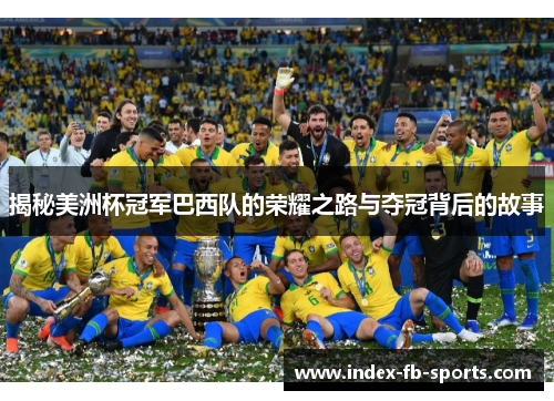 揭秘美洲杯冠军巴西队的荣耀之路与夺冠背后的故事